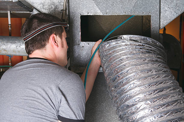 Best Home Air Vent Cleaning  in Williamsburg, FL